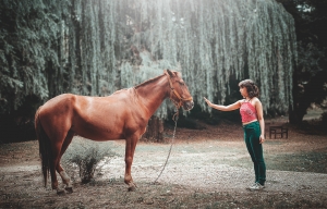 I cavalli: “magici” medici del mio benessere