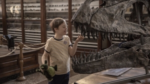 “Mio fratello rincorre i dinosauri”, diventa un film